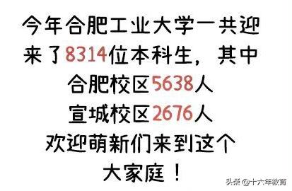 2021年合肥工业大学新生数据,合肥工业大学21年就业报告