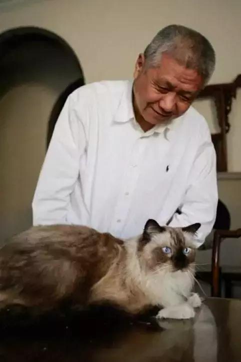 古墓被盗一口棺材,墓葬被盗