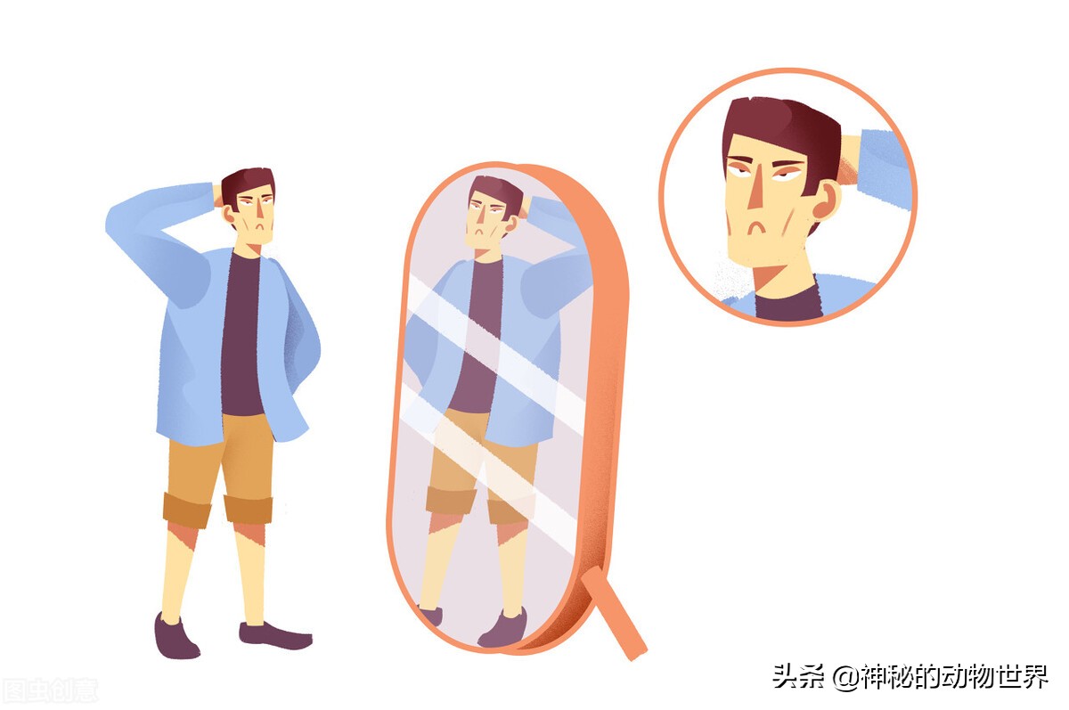 大象究竟有多聪明,大象的智商相当于人类多大