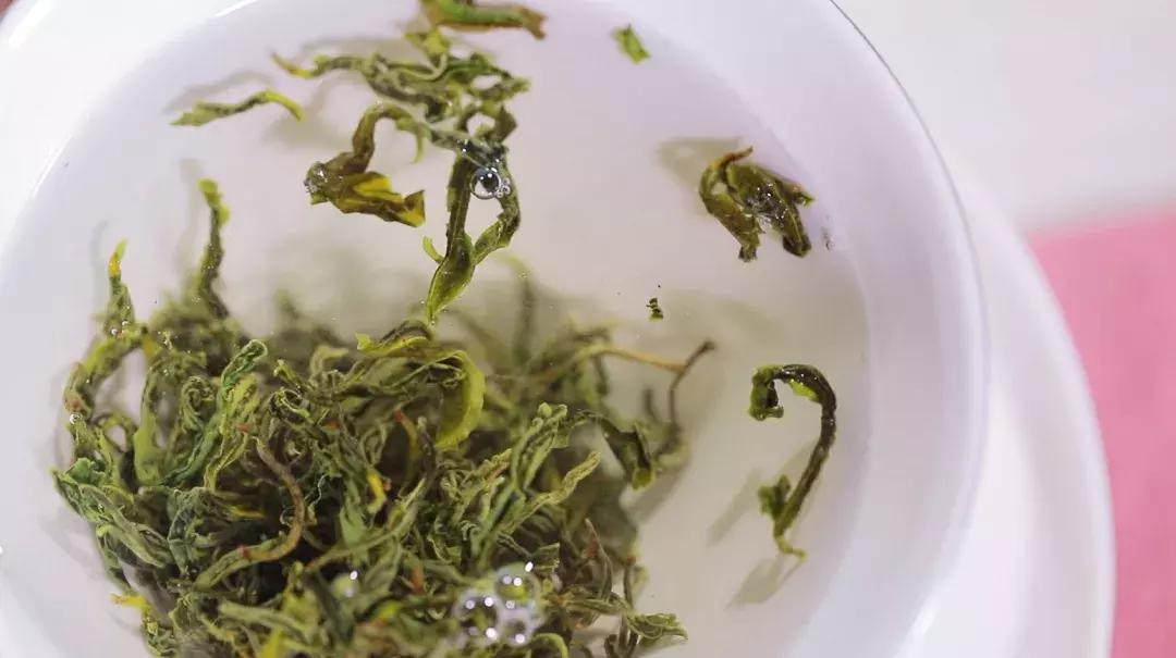 崂山绿茶好坏的鉴别方法,学会识别绿茶