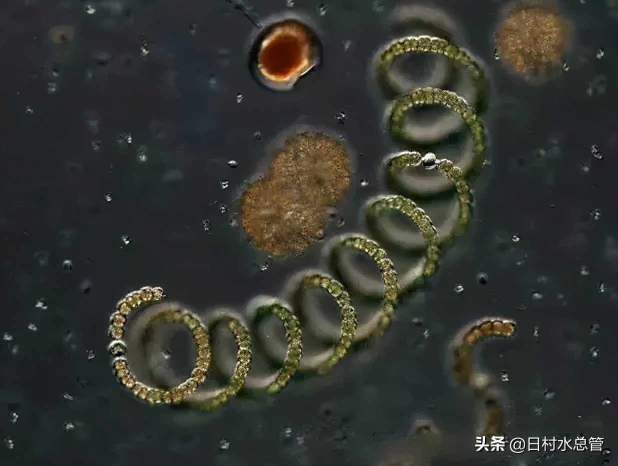 家里水龙头流出的水有异味怎么办？水管清洗有用吗？