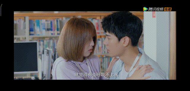 江辰江直树,江辰赵泛舟