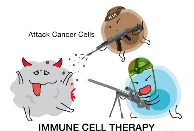 nk免疫细胞疗法的功效,nk免疫细胞或成为抗癌新手段