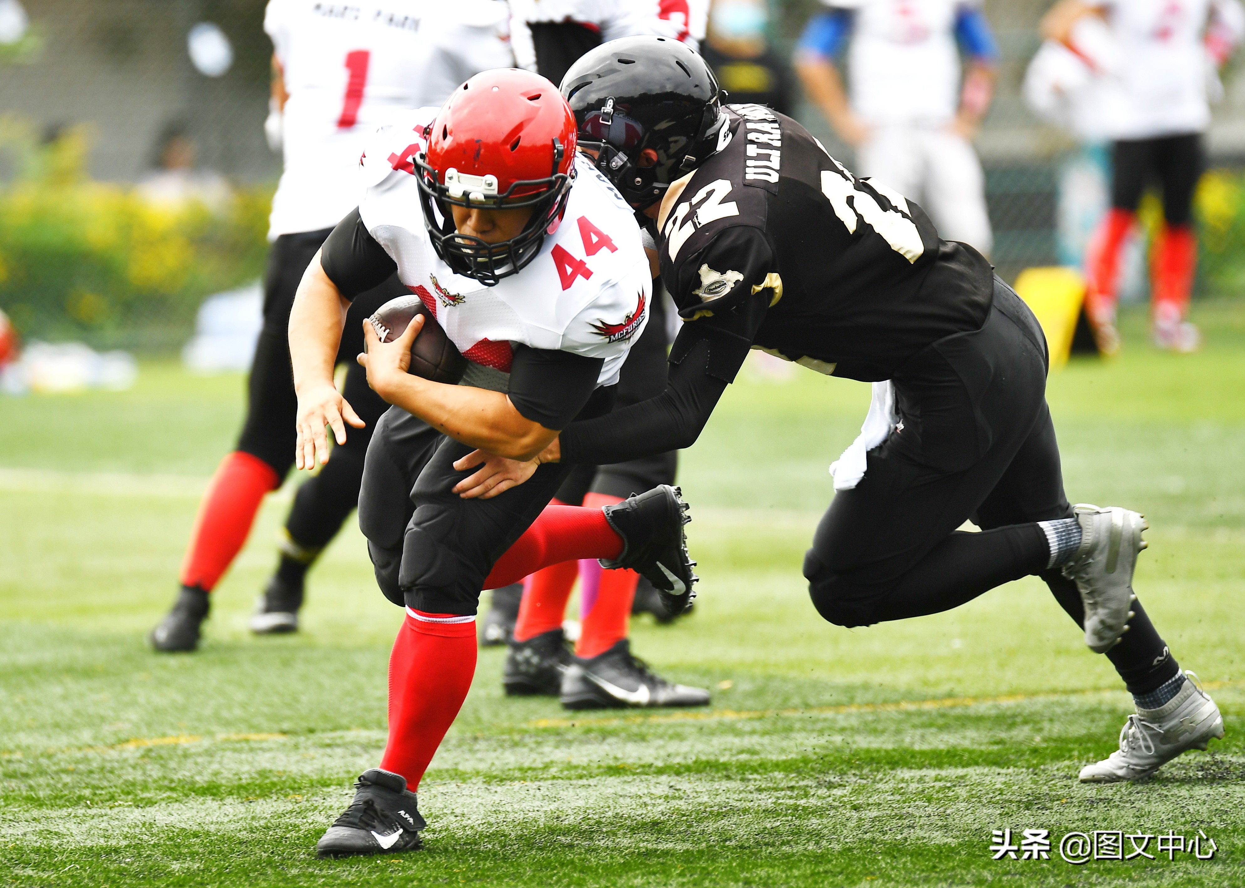 cnfl中国橄榄球联赛官网,cnfl橄榄球队伍