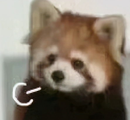 留学生活避坑指南,留学生活小秘诀