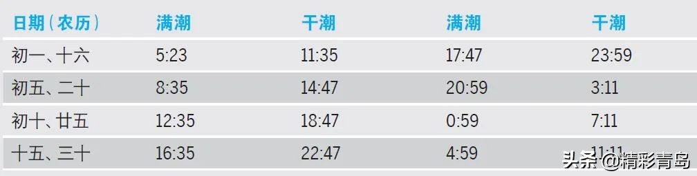 谁说东北城市只有烧烤？它不服！