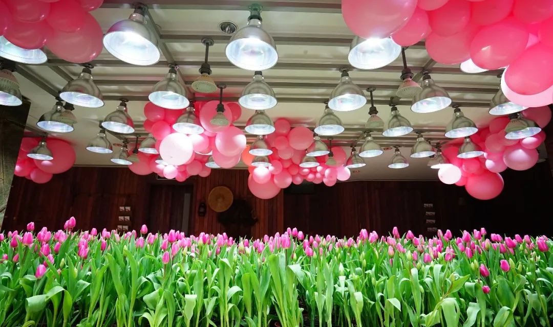 淘宝购物中心不务正业,不务正业购物中心排名