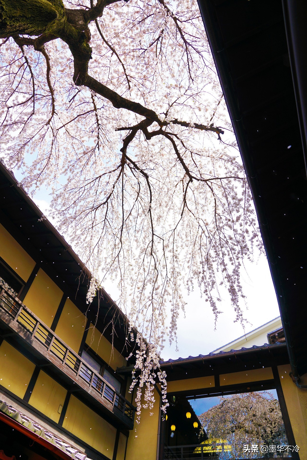 京都一眼千年的美景,京都永恒的美