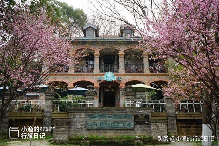 第一次去武汉被震撼到,西安妹子到成都旅游8次