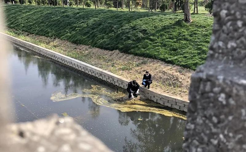 【基层动态】埇桥|公益诉讼：快速检测实验室上线“发威”！