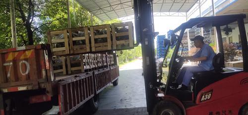 闻机起舞唱大风株洲那些逆势增长的企业