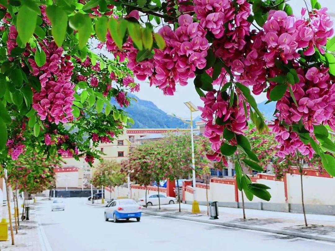 夏日叠词有哪些,夏日迭部