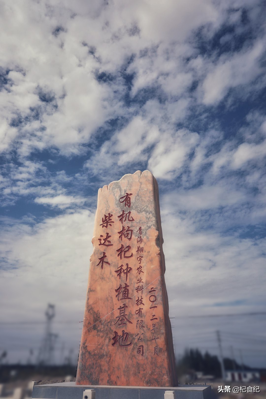孕育黑枸杞的“瀚海明珠”-诺木洪
