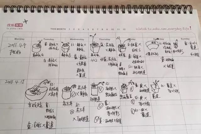 多肉花剑是个宝,多肉花剑可以干什么