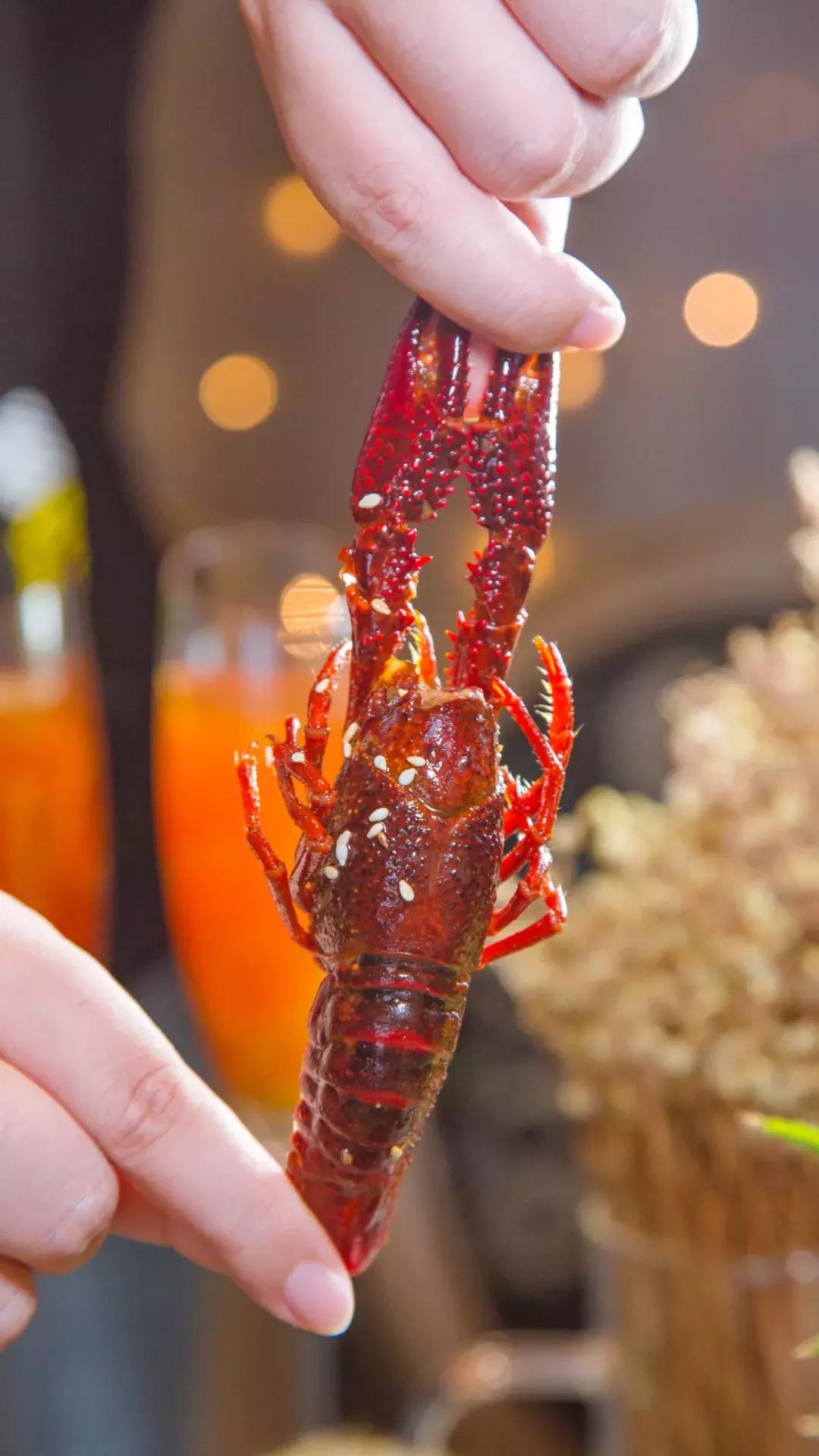 西餐界的“Chanel”!异国风味,带你见识超敢玩的食物实验所