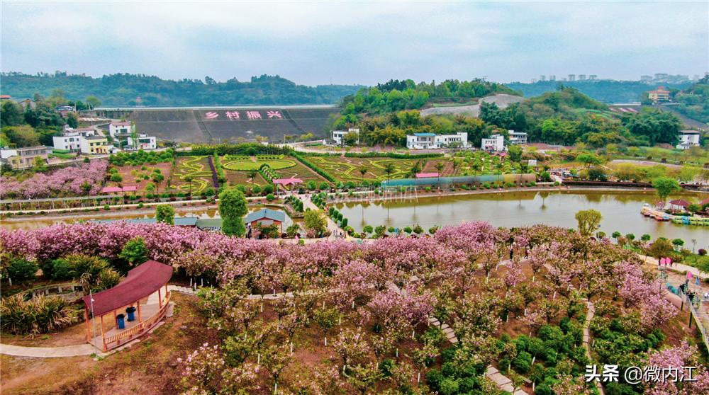奋力建设美丽乡村,奋力打造景美民富幸福家园