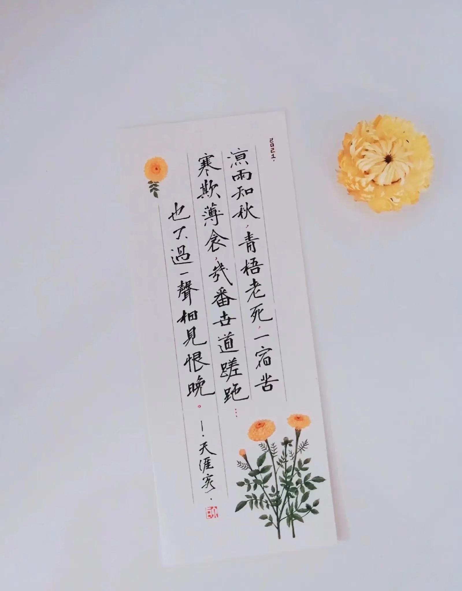 断舍离是我一生的必修课,断舍离才是后半生最好的活法