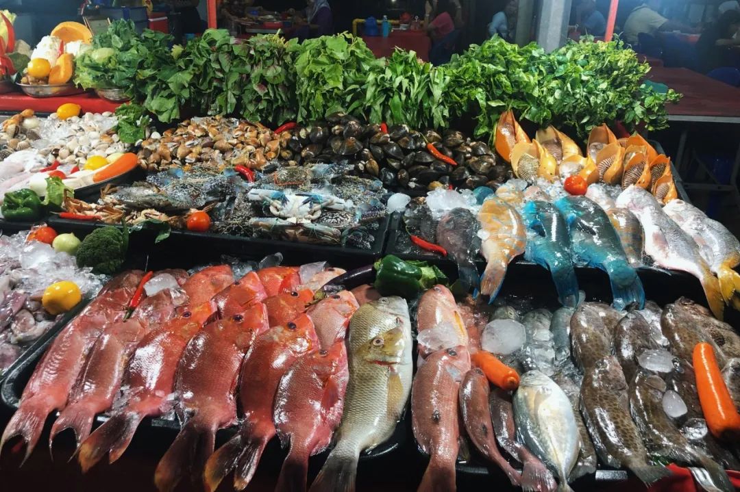 出不了门的心情,出不了门的日子让人心绪难平