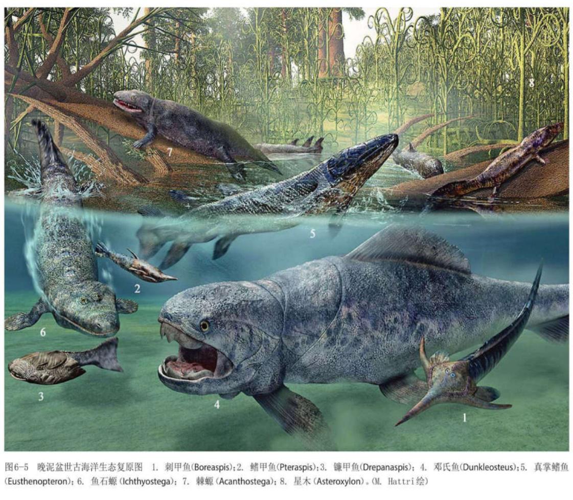 一分半带你看完地球生命进化史,地球生命演化史一口气讲完