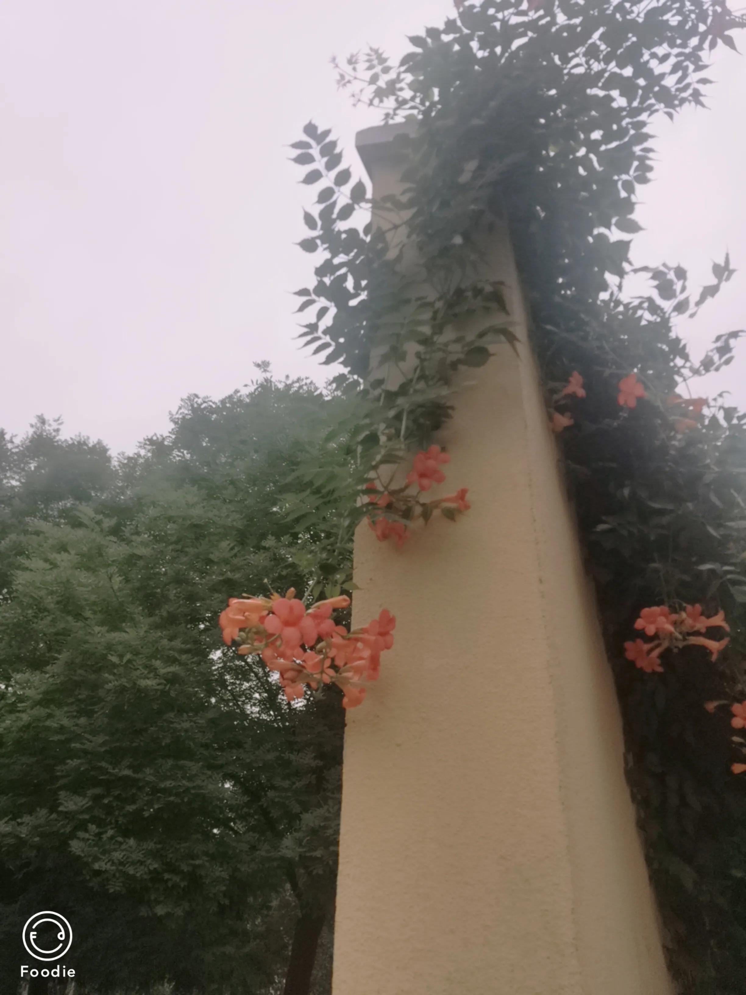 祛湿气的小妙招快速解决,解决湿气穴位