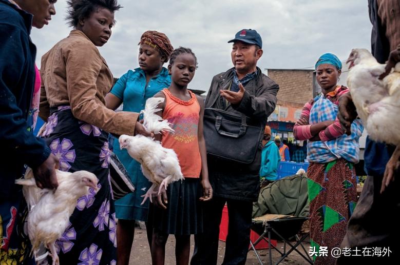 曾经多少人怀着梦想去深圳,中国人在刚果淘金发财