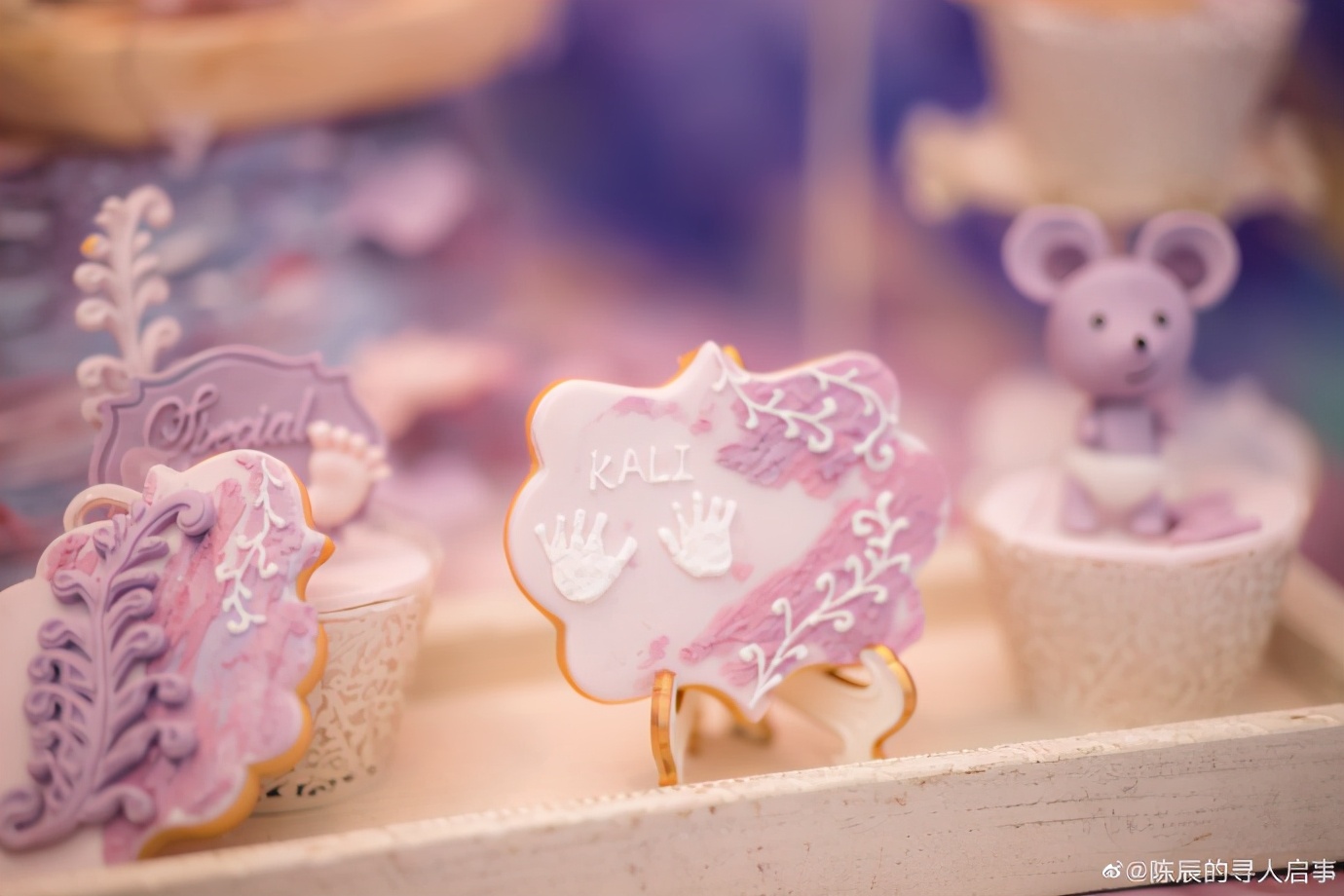 上海电视台主持人陈辰晴,上海smg女主持人陈辰