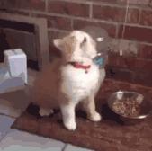 米家踢脚线电暖器e评测,米家踢脚线电暖器e的温感在哪里