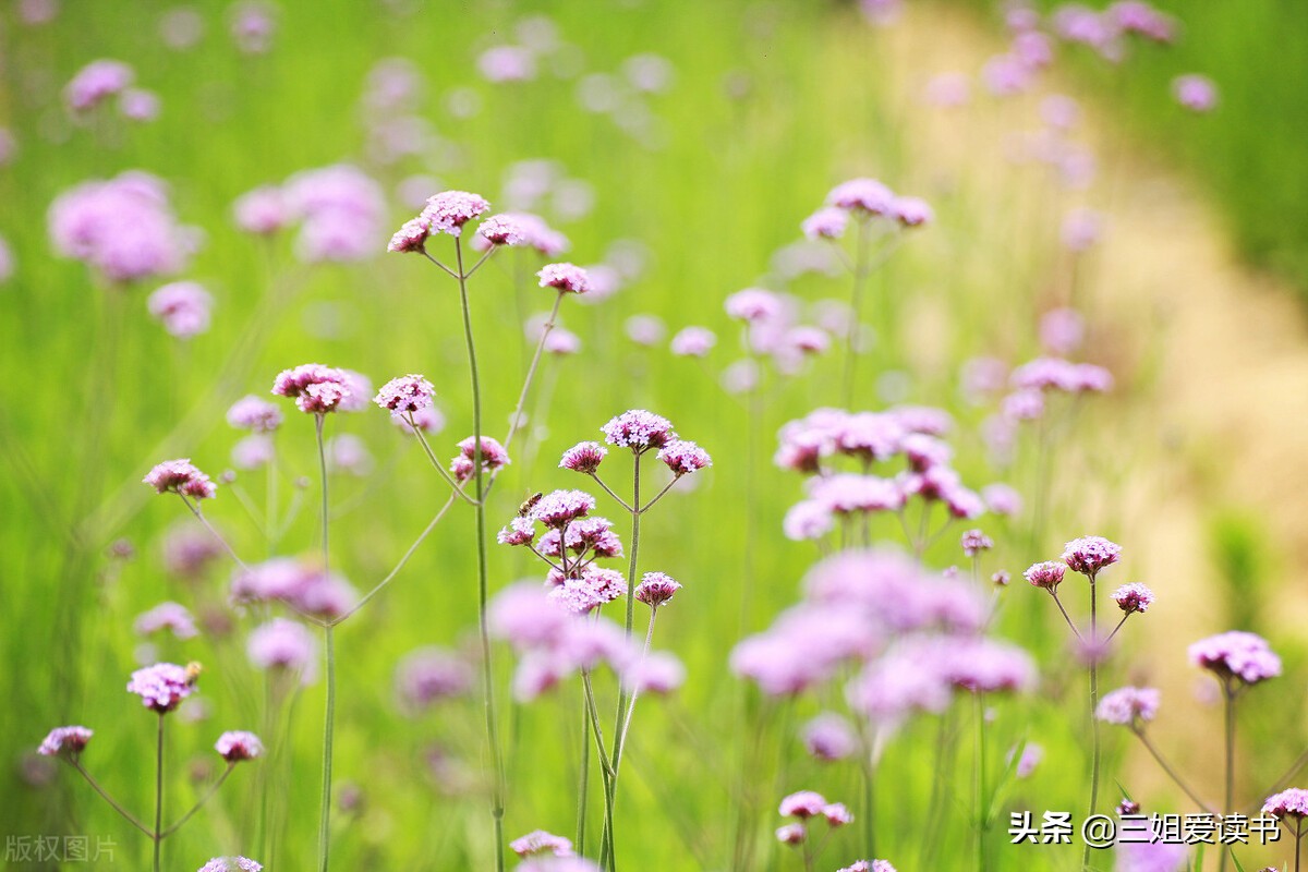 树洞成长中的烦恼,从小到大的心灵树洞