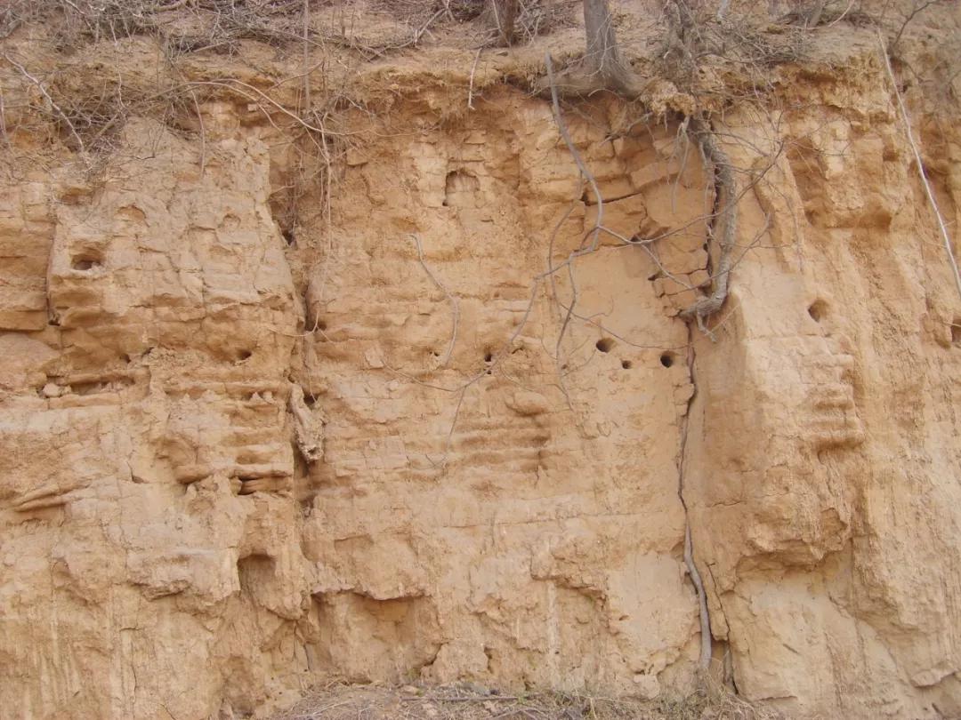 荥阳东郊段村历史故事,荥阳古城全景视频