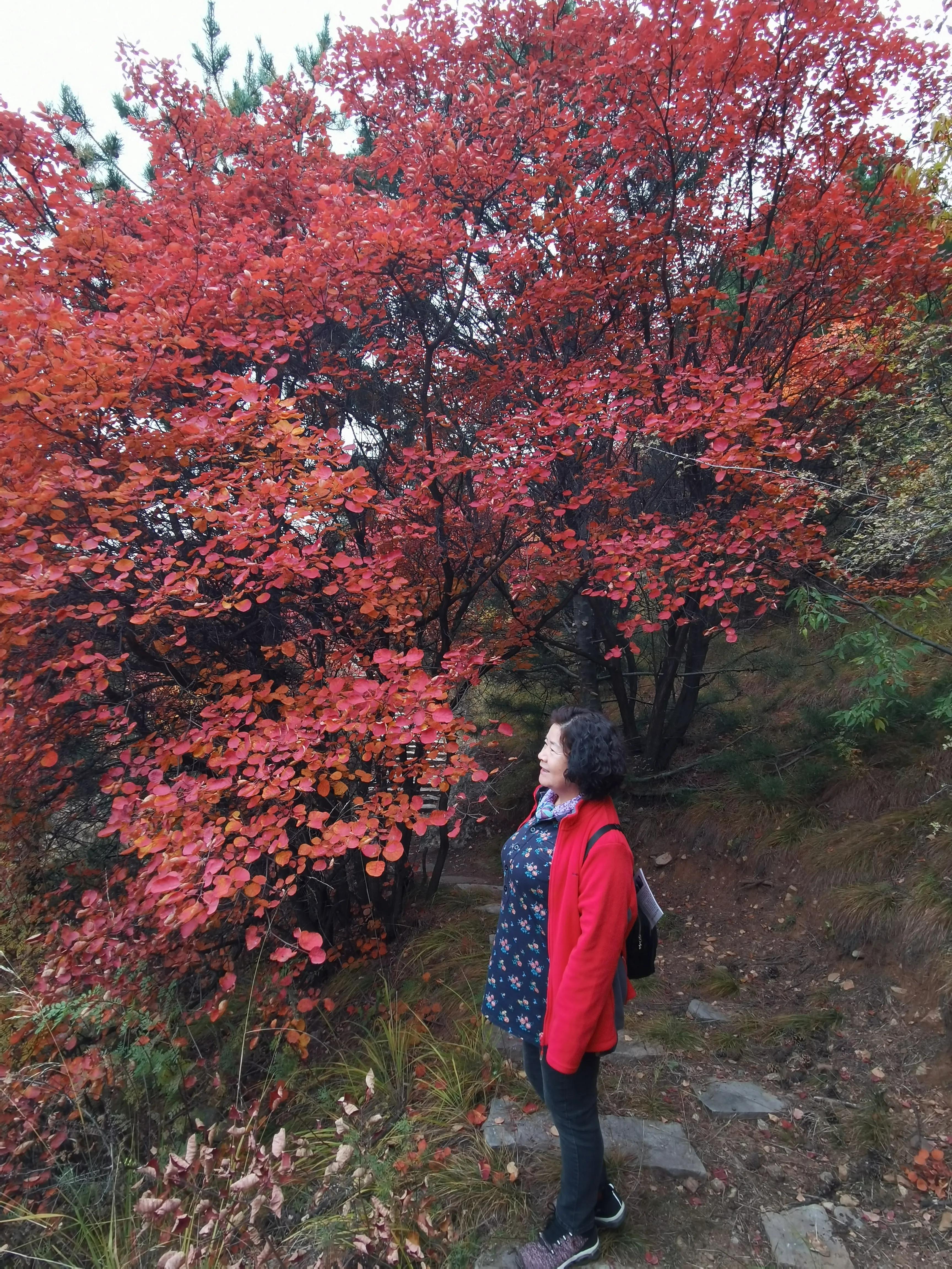 退休的生活丰富多彩幸福快乐,退休生活开启新的快乐生活