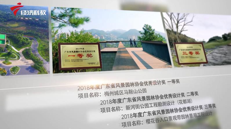 棕榈叶造型设计,棕榈设计公司怎么样