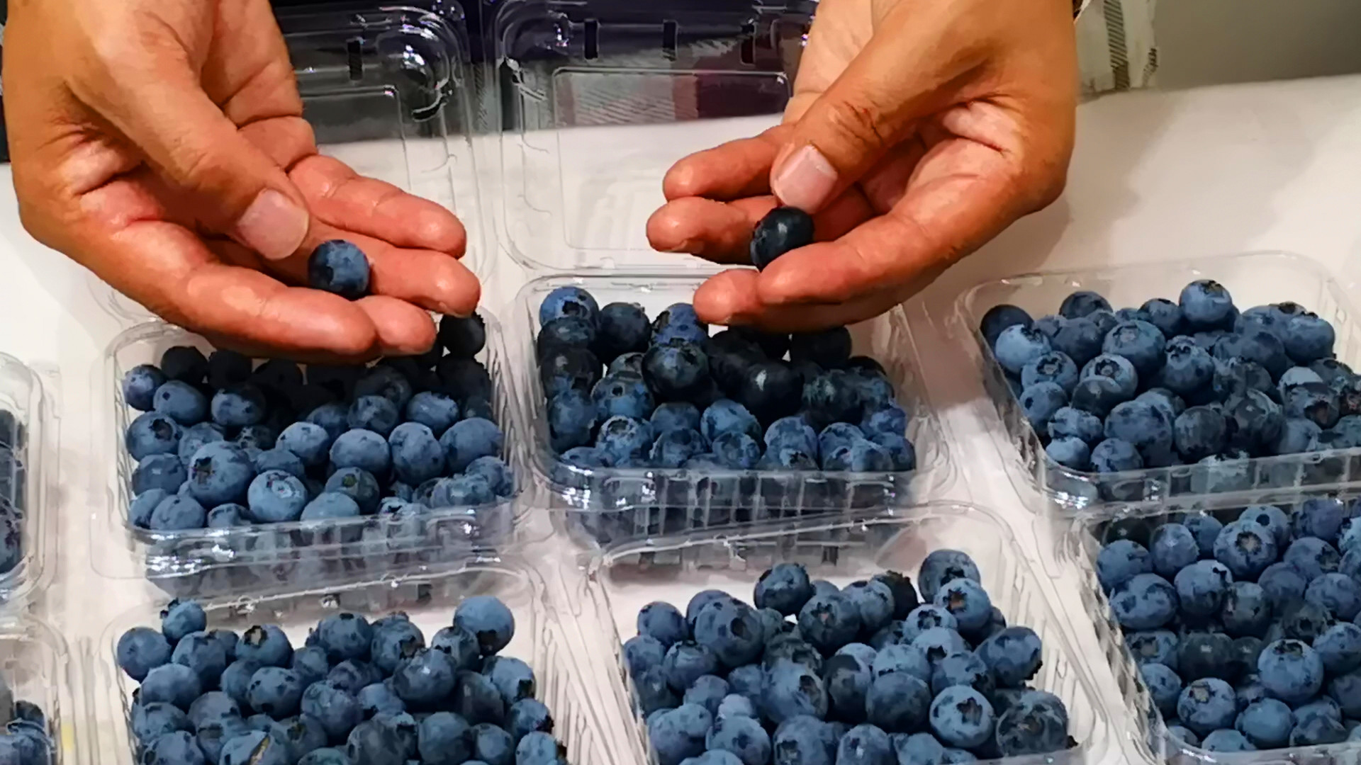 夏天必备的十种果子,夏天必备的10种果子