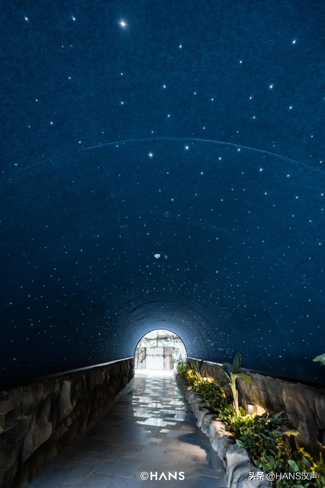 双十一不吃土的图片,双十一不吃土了吗