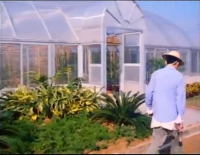 小鸟天堂真实现状,小鸟天堂后续怎样了