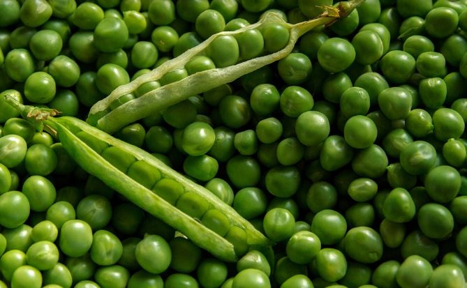 适合春天二三月种的植物或蔬菜,春天这七种蔬菜养肝好吃又便宜