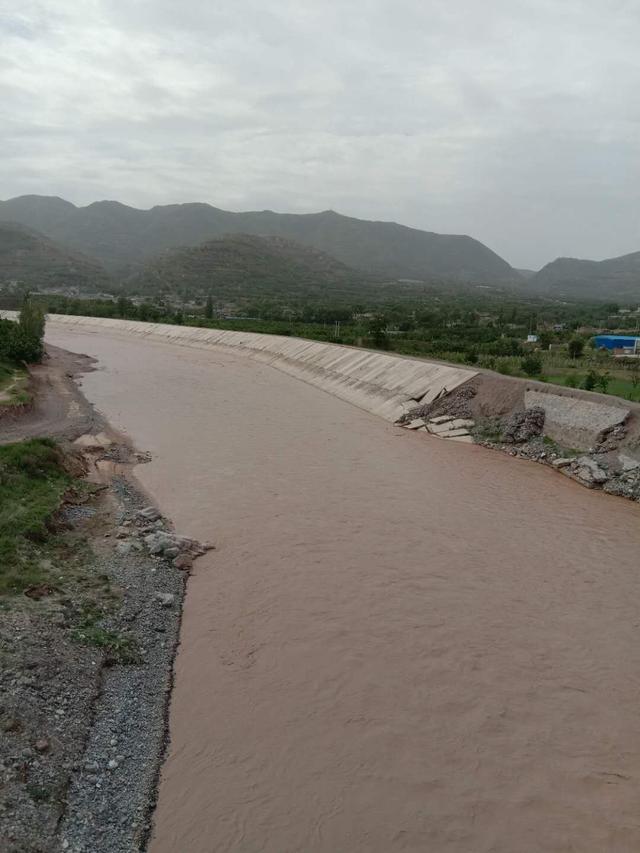 甘谷金山农民作家张志刚,甘谷徒步张志刚