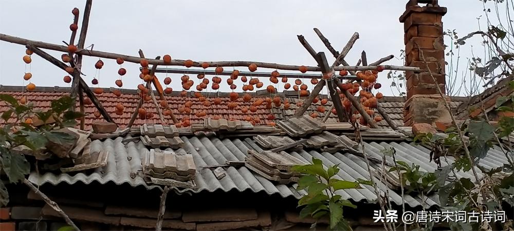 深山藏幽谷小桥无人家,深山美景藏不住小村庄