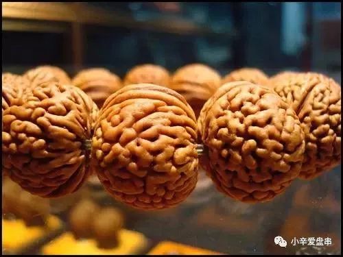 君子潜修己身是什么意思,君子慎独修己以安人全文