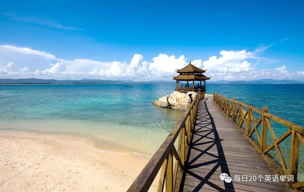 每日20个英语单词,每日20个英语单词高中