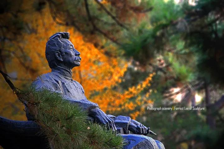 九大美院校园风景,中国九大美院校园风采