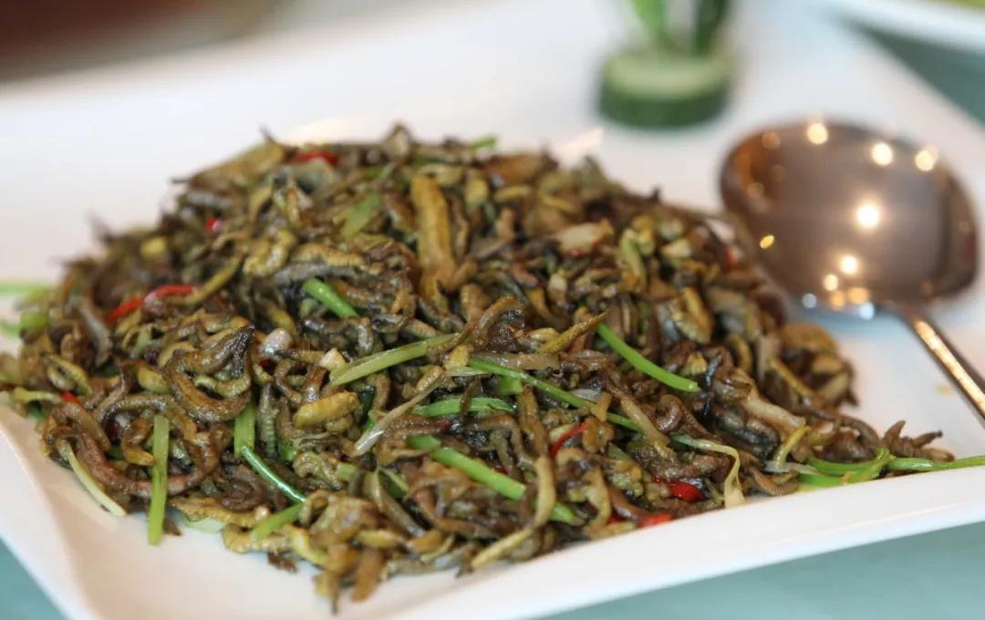 你好,我叫珠海,请收下我2021版新名片,带你了解新的珠海!