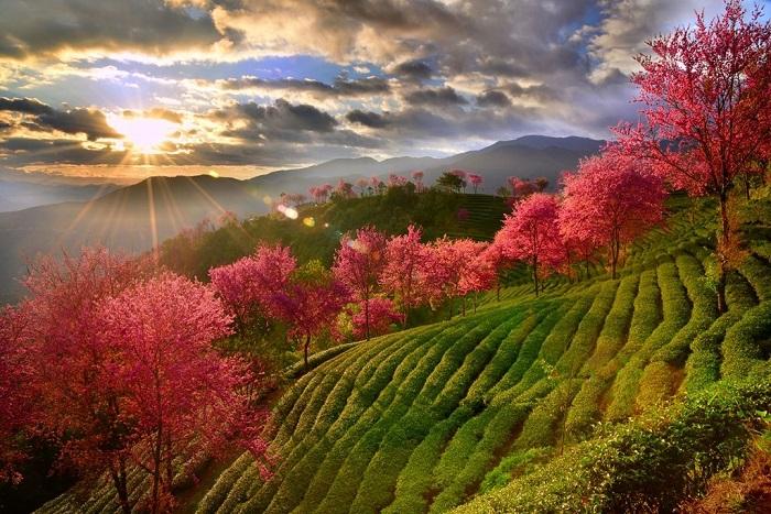 大理海西小众景点,大理好玩的小众地方