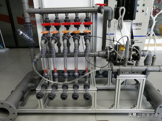 专业的玻璃温室大棚建造,温室大棚生产及设计