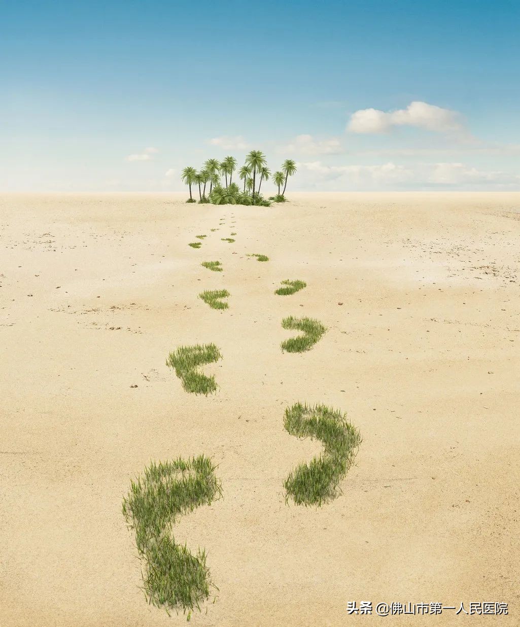 沙漠寻找绿洲,沙漠上寻找绿洲