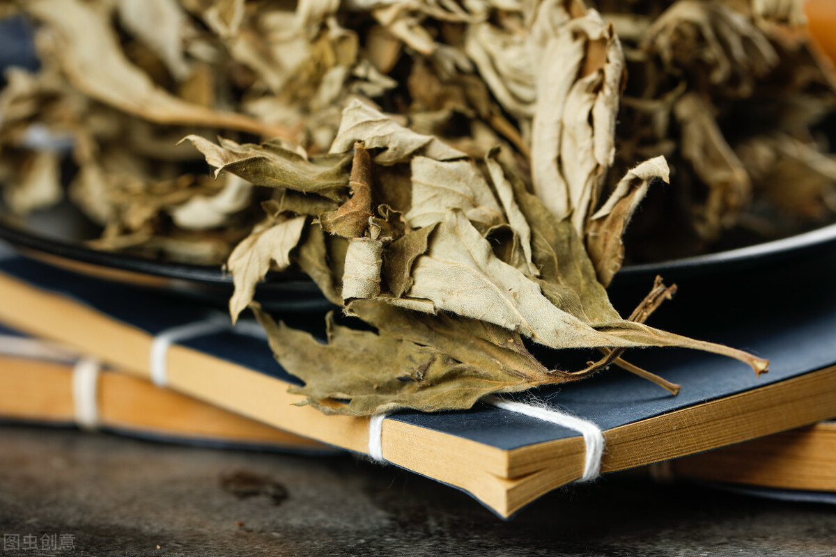 艾灸高手视频教程大全,中医艾灸师怎么样