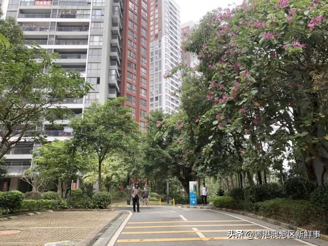 宀佹湀闈欏ソ澶氬Э澶氬僵,鑺辨牱骞村埆鏍峰煄娲嬫埧