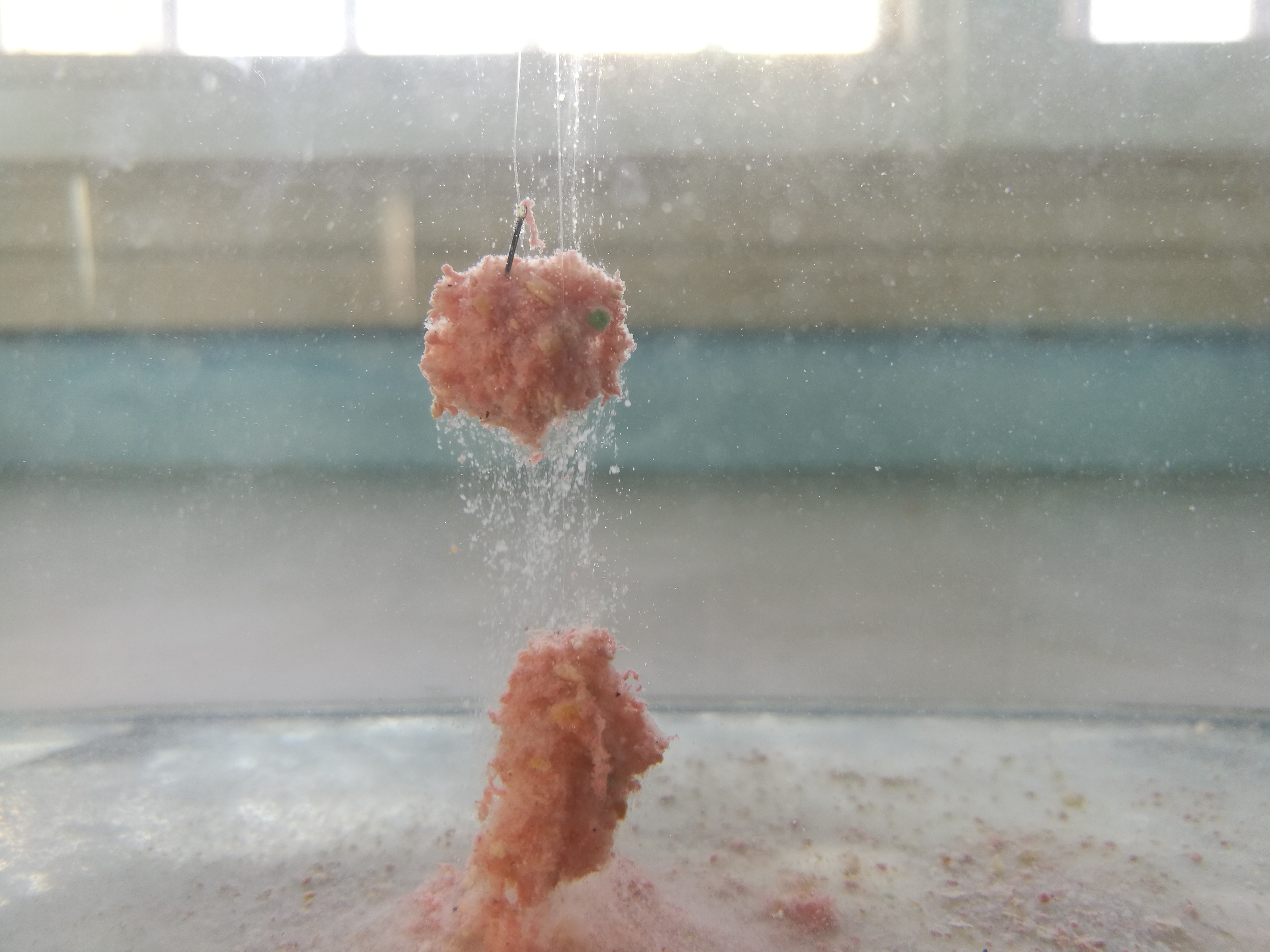 开饵料正确方法和技巧,饵料开出来不好拉应该怎么解决