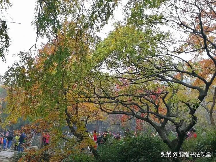 苏州最美的地方是哪里,苏州天平山最近景色