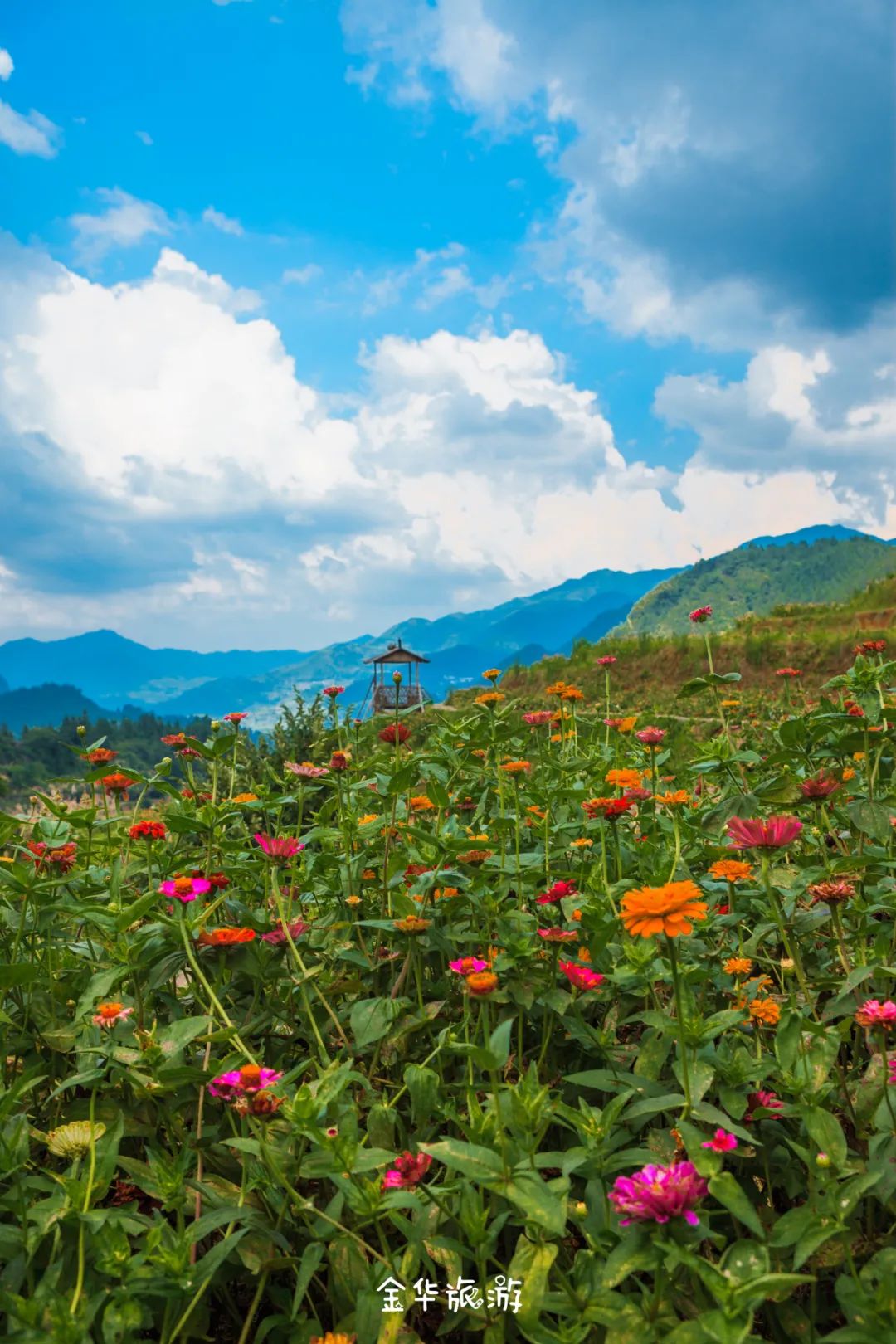 藏在崇山峻岭深处的世外桃源,藏在深山老林里的世外桃源
