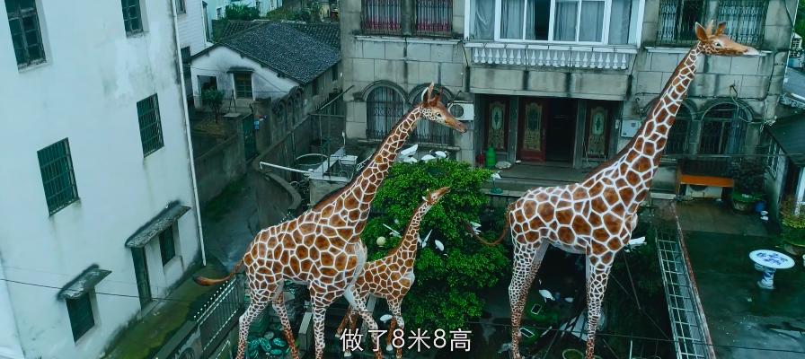 国产良心网络电影,口碑爆棚的国产片